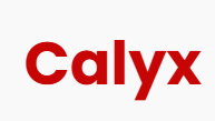 Calyx Securities Limited logo
